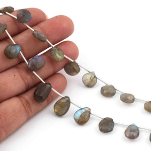 1  Strand Labradorite Faceted Briolettes -Pear Shape  Briolettes - 8mm-16mm - 6.5 Inches BR2682 - Tucson Beads