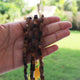 1 Long  Strand Brown Tiger Eye Cube Briolettes - Box Shape Beads 5mm-6mm 8  Inches BR798 - Tucson Beads