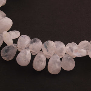 1 Strand White Rainbow Moonstone Faceted Pear Shape Briolettes - 9mmx8mm-15mmx7mm 10 Inch BR127 - Tucson Beads