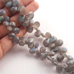 1 Strand Labradorite Faceted  Briolettes - Labradorite Pear Drop Beads 10mmx8mm-16mmx10mm 9 Inches BR132 - Tucson Beads