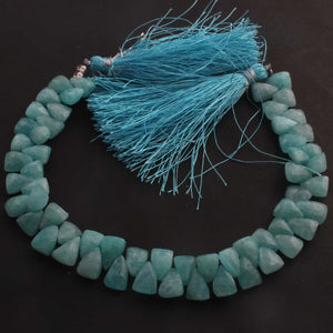 1  Strand Amazonite Faceted Briolettes  - Trillion  Shape Briolettes - 9mmx8mm-7mmx6mm - 8 Inches - BR02924 - Tucson Beads