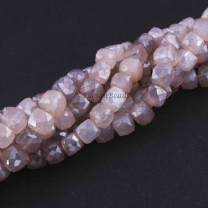 1 Strands Excellent Quality Gray Moonstone Faceted Cube Briolettes - Box Shape Beads 7mm-8mm 8 Inches BR1169 - Tucson Beads