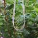 45 Ct 1 Long Strand  grey Diamond Tear ShapeGenuine Diamond Beads 11 Inch Long BDU147 - Tucson Beads