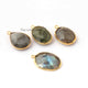 4  Pcs Labradorite Faceted Assorted Shape 24k Gold Plated Pendant- 26mmx17mm-PC691 - Tucson Beads