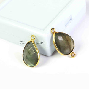 20  Pcs Labradorite  Faceted Assorted  Shape 24k Gold Plated Pendant & Connector - 22mmx13mm-26mmx12mm-PC472 - Tucson Beads