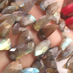 1  Strand Labradorite Faceted Briolettes  - Fancy Shape Briolettes -12mmx7mm-19mmx10mm - 10 Inches BR02698 - Tucson Beads