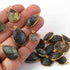 16 Pcs Labradorite Faceted Assorted Shape 24k Gold Plated Connector $ Pendant - Labradorite Assorted - 12mmx15mm-26mmx14mm PC129