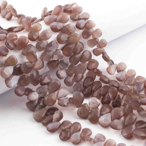 1  Strand Chocolate Moonstone Faceted  Briolettes -Pear Shape  Briolettes -8mmx5mm-8.5 Inches BR3161 - Tucson Beads