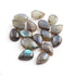 16 Pcs Amazing Labradorite Smooth Cabochon Spectrolite - Pear Shape Multi Fire Loose Gemstone-12mmx8mm LGS275