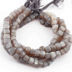 1 Strands Excellent Quality Gray Moonstone Faceted Cube Briolettes - Box Shape Beads 7mm-8mm 9 Inches BR740 - Tucson Beads