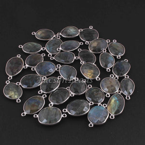 10 Pcs Beautiful Labradorite Assorted Shape 925 Sterling Silver Gemstone Faceted Connector - 27mmx15mm-24mmx13mm SS1125 - Tucson Beads