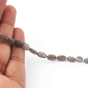 1  Strand Labradorite Faceted Briolettes  -Oval Shape Briolettes  7mmx6mm - 13mmx6mm 8 Inches BR3719 - Tucson Beads