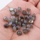 31  Pcs Labradorite Smooth Cabochon Spectrolite - Round Shape Multi Fire Loose Gemstone -6mm LGS147 - Tucson Beads