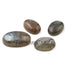 4  Pcs Labradorite Smooth Cabochon Spectrolite - Oval Shape Multi Fire Loose Gemstone -20mmx12mm  LGS154