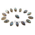 38  Pcs Amazing Labradorite Smooth Cabochon Spectrolite - Marquise Shape Multi Fire Loose Gemstone -10mmx5mm  LGS166