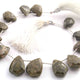 1  Strand Green  Jasper Faceted  Briolettes  - Fancy  Briolettes  -13mmx16mm-24mmx24mm-9 Inches BR01586 - Tucson Beads