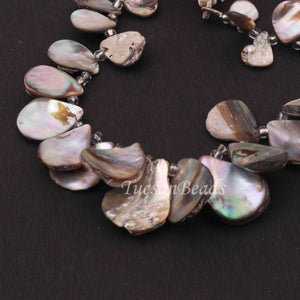 1 Strand Mother Of Pearl Faceted Fancy Shape Biolettes- Mop Briolettes, Pearl beads 24mmx17mm-11mmx8mm, 7.5 inches BR4260 - Tucson Beads