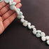 1 Strand Amazonite Smooth  Briolettes - Amazonite Heart Shape Beads -9mm-16mm 9.5 Inches BR2687