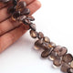 1  Strand Smoky Smooth Briolettes -Pear Shape Briolettes 12mmx9mm-18mmx11mm 9 Inches BR2524 - Tucson Beads