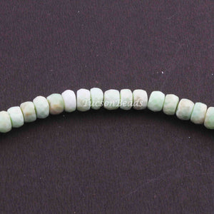 1 Long  Strand Green Opal Faceted Rondelles - Green Opal Round Shape Beads 6mm- 8 Inches BR3973 - Tucson Beads