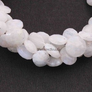 1  Long Strand White Rainbow Moonstone Faceted Briolettes  -Coin Shape Briolettes  - 6mm-12mm -8.5 Inches BR3803 - Tucson Beads