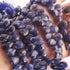 1 Strand Sodalite Faceted  Pear Shape  Briolettes -  12mmx8mm - 9 Inches BR02757