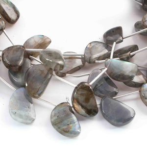 1  Long Strand Labradorite Faceted Briolettes Assorted Shape Briolettes - 16mmx11mm-8  Inches BR01514 - Tucson Beads