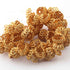 1 Strand Flower Half Cap 24K Gold Plated on Copper - Half Cap Beads 15mmX7mm 8 Inches GPC1036