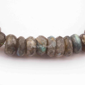 1  Strand Labradorite Faceted Rondelles- Round Roundels Beads 12mmx6mm -8 Inches BR2338 - Tucson Beads