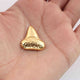 5 Pcs Beautiful Designer Shark Tooth 24k Gold Plated Over Solid Copper 23mmx20mm GPC700 - Tucson Beads
