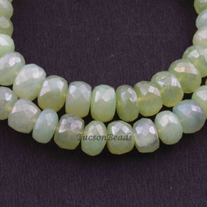 1 Strand Prehnite Silver Coated Faceted Rondelles - Praynite Rondelle Beads 6 Inches 9mmx6mm BR2323 - Tucson Beads