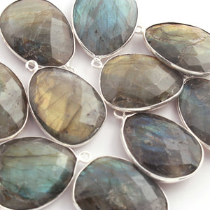 10 Pcs Labradorite Silver Plated Faceted Assorted Shape Pendant -28mmx20mm - PC430 - Tucson Beads