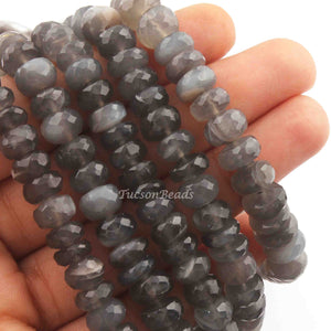 1  Strand Dark Gray Moonstone Faceted Rondelles - Moonstone Rondelles 9mmx6mm-8mmx5mm-  12.5  Inch BR4215 - Tucson Beads
