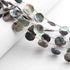 1  Long Strand Abalone Shell Faceted Briolettes  -Coin Shape Briolettes  -11mm - 8.5 Inches BR01643