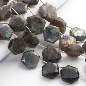 1 Strand Labradorite Faceted  Briolettes -  Hexagon Shape Beads 24mmx22mm-14mmx10mm 9 Inches BR01630 - Tucson Beads