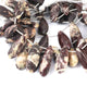 1 Strand Peanut Wood Faceted Pear Drop Beads - Peanut Wood Pear Beads 17mmx9mm-29mmx10mm 8 Inches BR1345 - Tucson Beads