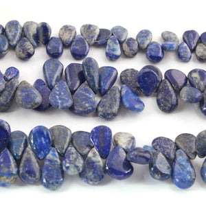 1 Strand Lapis Lazuli Smooth Briolettes  -Pear Shape Briolettes - 23mmx17mm -11mmx7mm -  9.5 Inches BR2382 - Tucson Beads