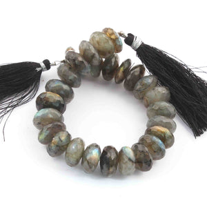 1  Strand  Labradorite Faceted Rondelles - Roundel Beads 9mm-21mm 8 Inches BR3773 - Tucson Beads