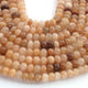 1  Strand Heliodor Smooth Roundelles - Plain Semiprecious Rondelles - 8mm-9 Inches BR02704 - Tucson Beads