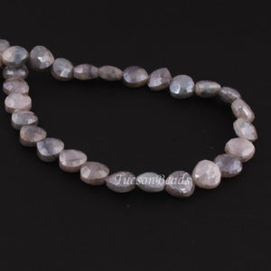 1  Strand Gray Silverite Faceted Briolettes - Heart Shape Briolettes -  8mm- 15 Inches BR0452 - Tucson Beads