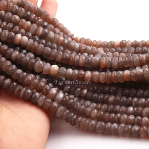 1 Long Strand Chocolate Moonstone Faceted Rondelles  - Moonstone rondelles - 8mm -13 Inches BR01038 - Tucson Beads