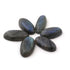 6 Pcs Amazing Labradorite Smooth Cabochon Spectrolite - Oval Shape Multi Fire Loose Gemstone -33mmx13mm LGS040