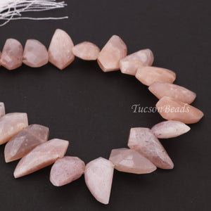 1 Strand Chocolate Moonstone Faceted Briolettes - Horn Shape Moonstone Briolettes  23mmx11mm-17mmx9mm - 9.5 Inches BR4091 - Tucson Beads
