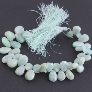 1 Strand Amazonite Smooth  Briolettes - Pear Drop Beads  11mmx8mm -16mmx11mm 8.5 Inches BR625 - Tucson Beads