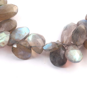 1 Strand Labradorite Faceted Briolettes - Pear Shape Briolettes  11mmx9mm-19mmx11mm 9.5 Inches BR1199 - Tucson Beads