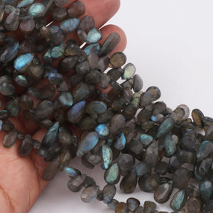 1 Long  Strand Labradorite  Faceted Briolettes -Pear Shape Briolettes - 7mmx5mm-12mmx7mm - 9.5 inch BR0434 - Tucson Beads