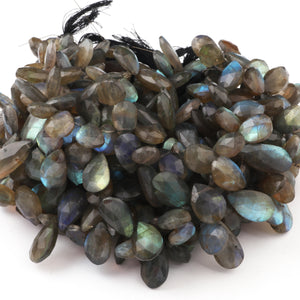 1 Long  Strand Labradorite  Faceted Briolettes -Pear Shape Briolettes - 16mmx11mm-24mmx12mm - 10 inch BR0439 - Tucson Beads