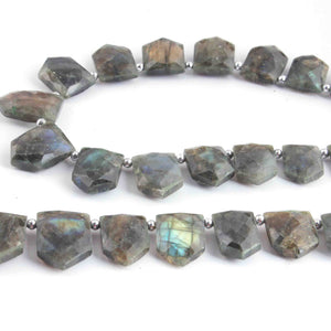 1 Strand Labradorite Faceted Pentagon Shape Briolettes - Jewelry Making Supplies - 22mmx15mm-34mmx10mm 10 Inch BR3266 - Tucson Beads