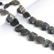1 Strand Labradorite Faceted Pentagon Shape Briolettes - Jewelry Making Supplies - 22mmx15mm-34mmx10mm 10 Inch BR3266 - Tucson Beads