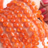 1 Long Strand Carnelian Faceted Briolettes - Heart Shape Briolettes  5mm-6mm 9 Inches BR02415